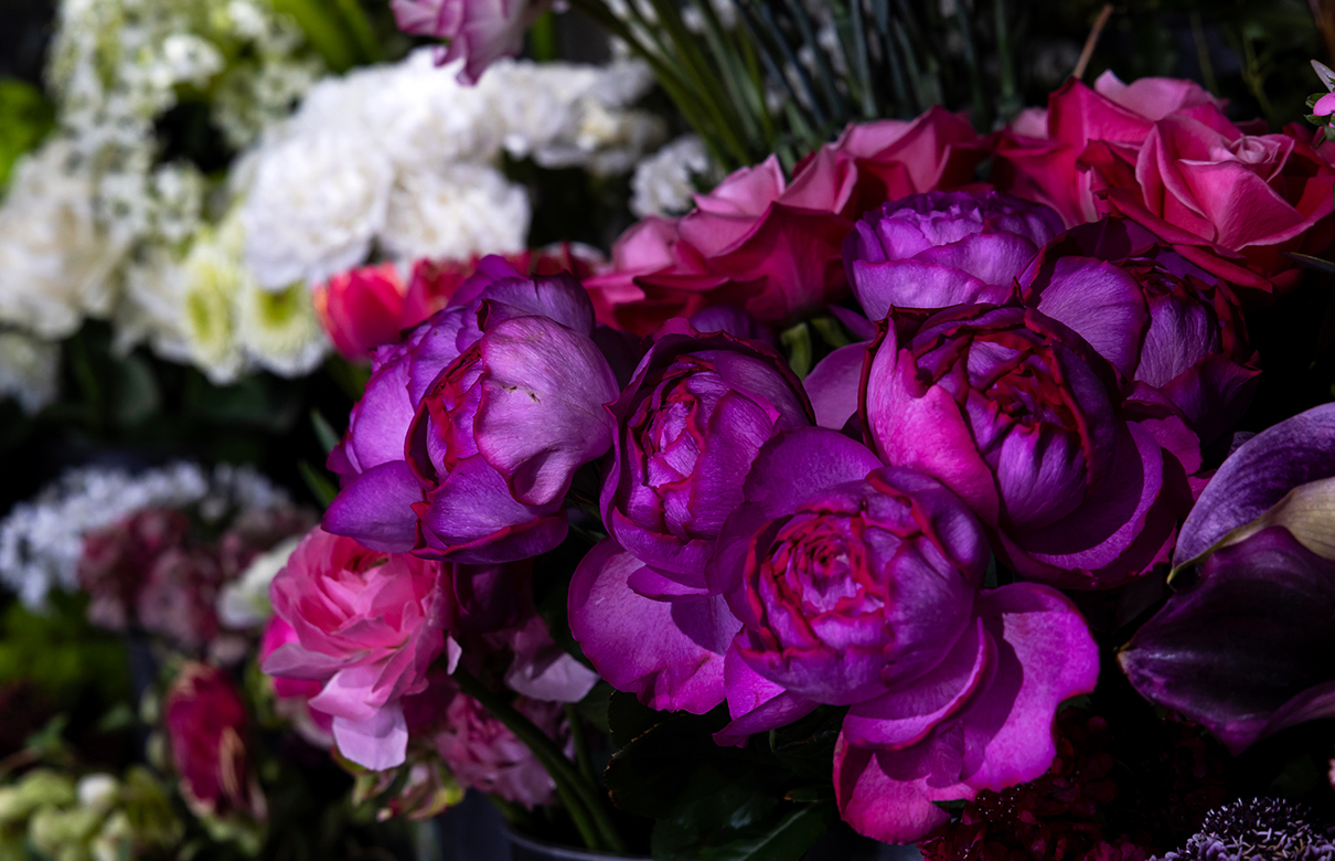 VIAURA・Atelier Blooming