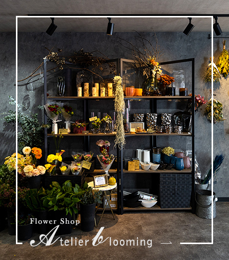 Atelier Blooming