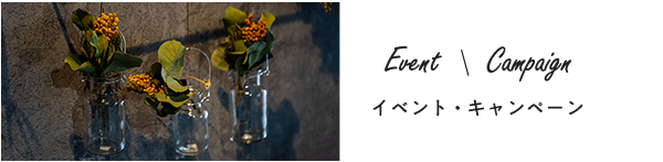 Event / Campaign